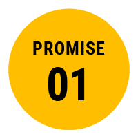 PROMISE01